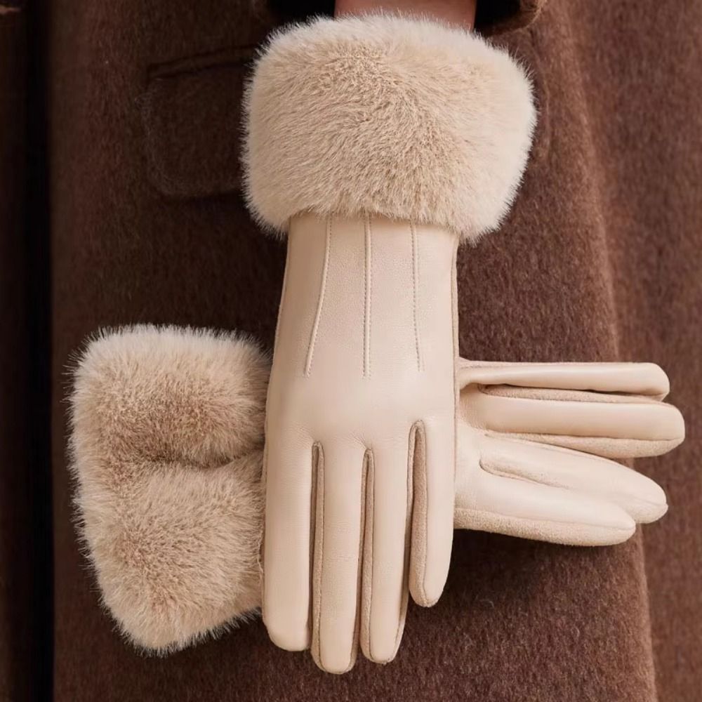 Thermal Lined Women's Leather  - Winter Glove Insulated 评论和价格